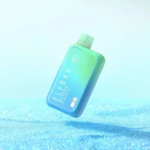 Elf Bar BC 10000 Blueberry Mint 5% Nicotine